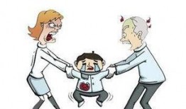 石家庄爆料小孩事件视频,真相与反思